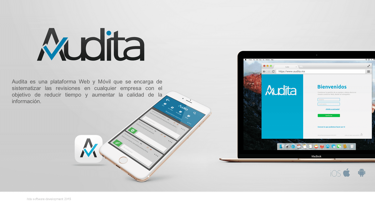Audita project image from the original Strikingly portfolio